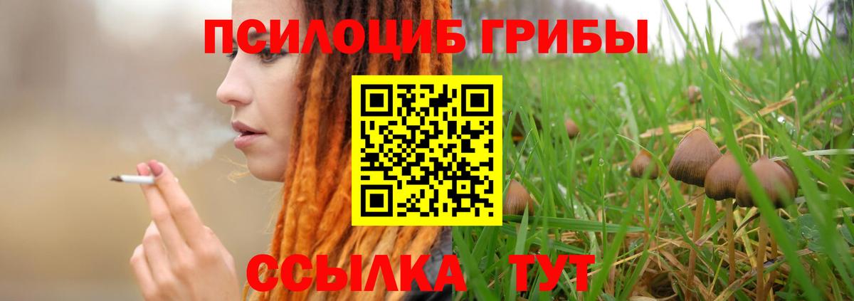 Псилоцибиновые грибы GOLDEN TEACHER Новосибирск